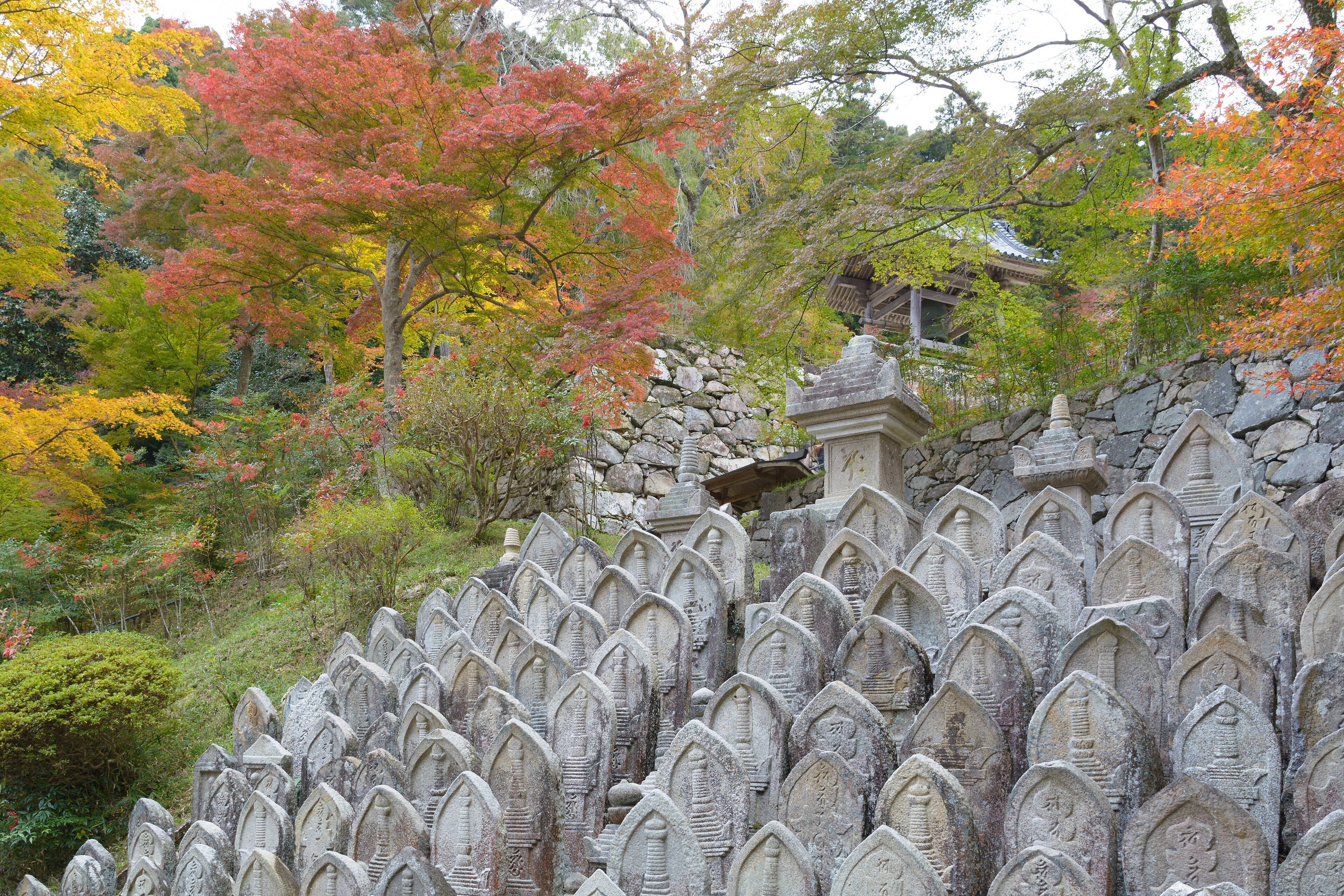 Shoryakuji - 3,000 Maples and a Bus That Runs Three Weeks a Year