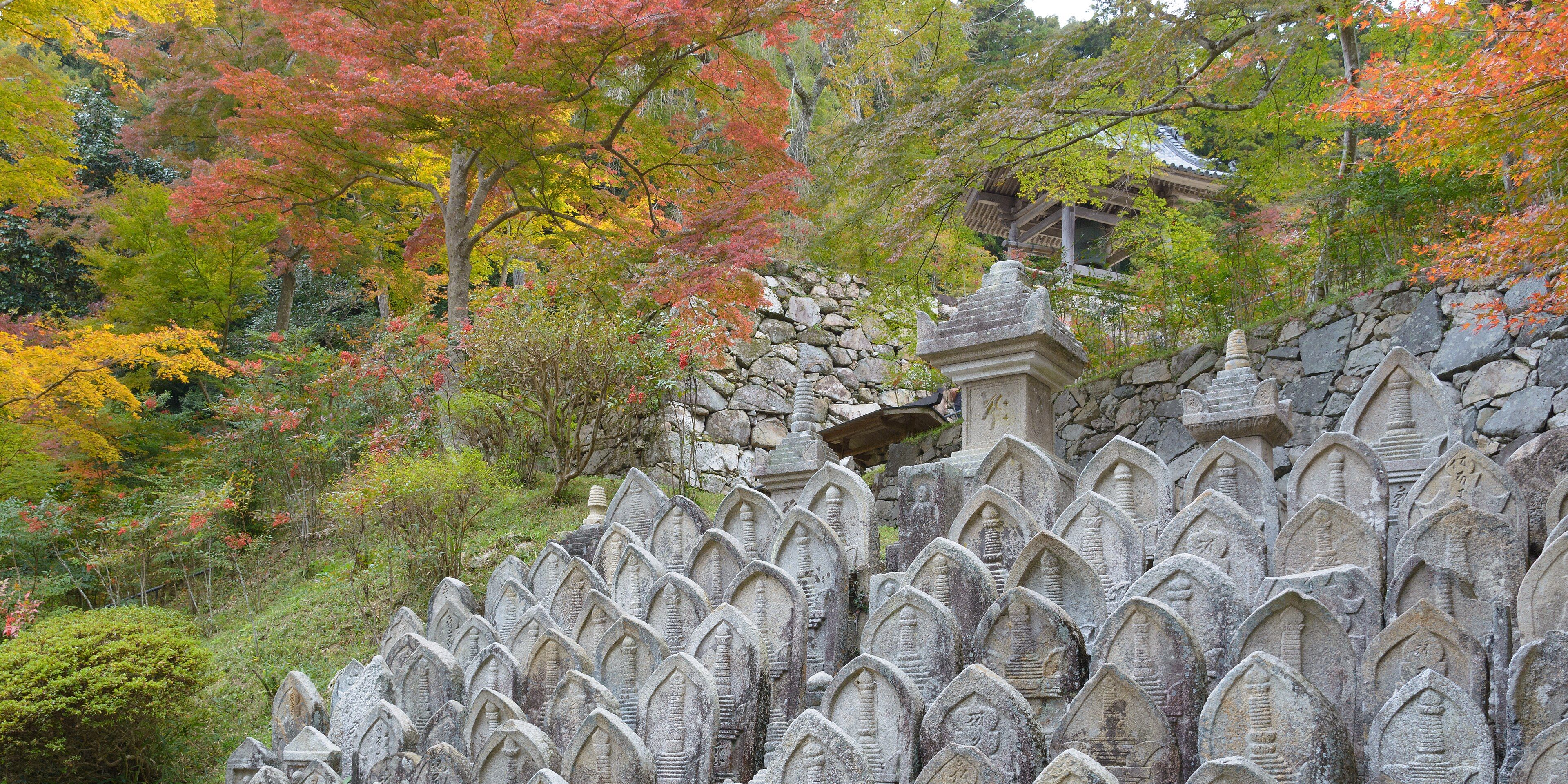 Hotels near Shoryakuji