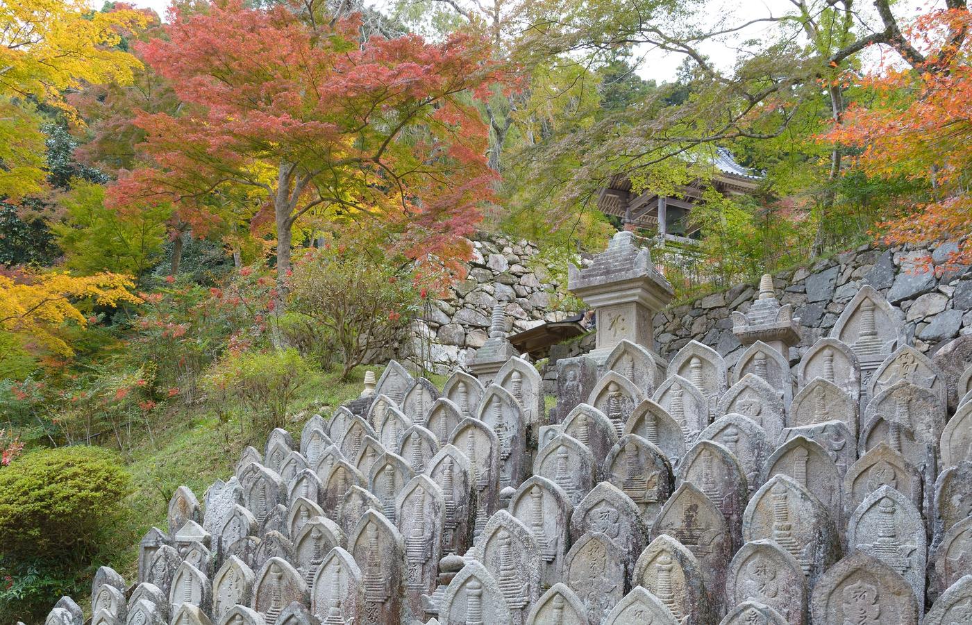 Shoryakuji - 3,000 Maples and a Bus That Runs Three Weeks a Year