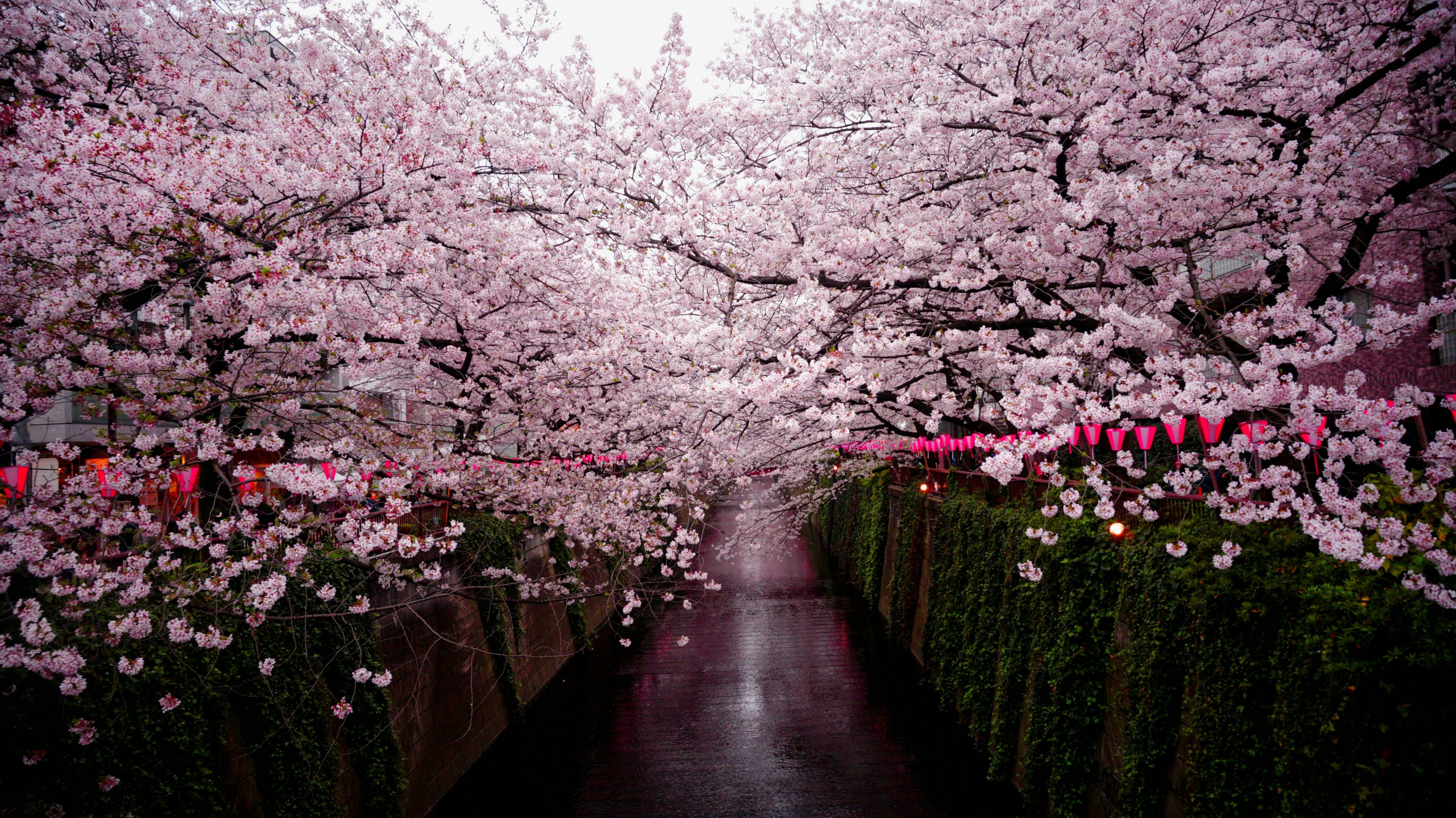 Hotels near Kazuemachi Chaya District