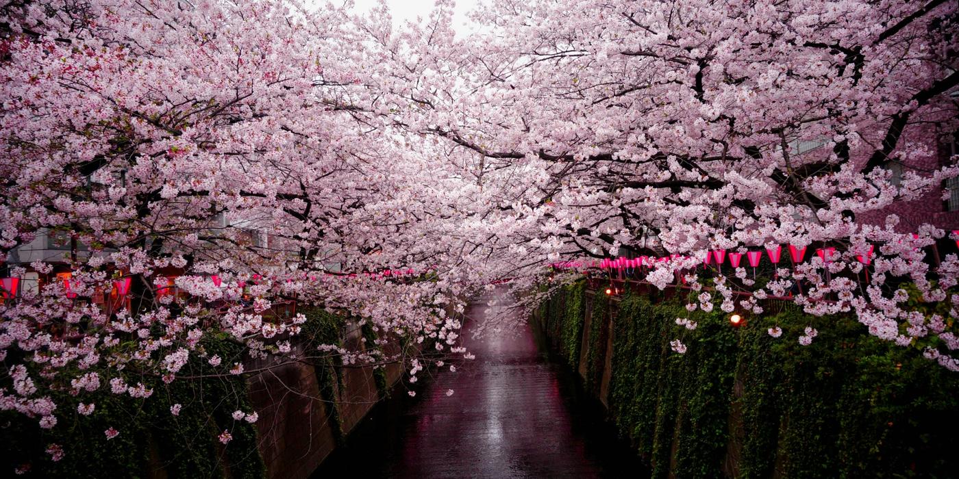 Hotels near Kazuemachi Chaya District