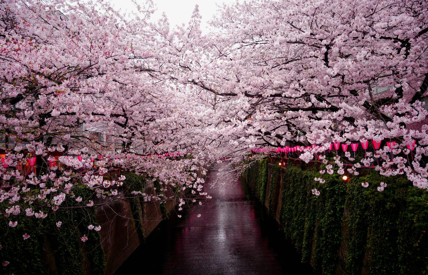 Kazuemachi Chaya District - Kanazawa's Most Romantic Geisha Quarter