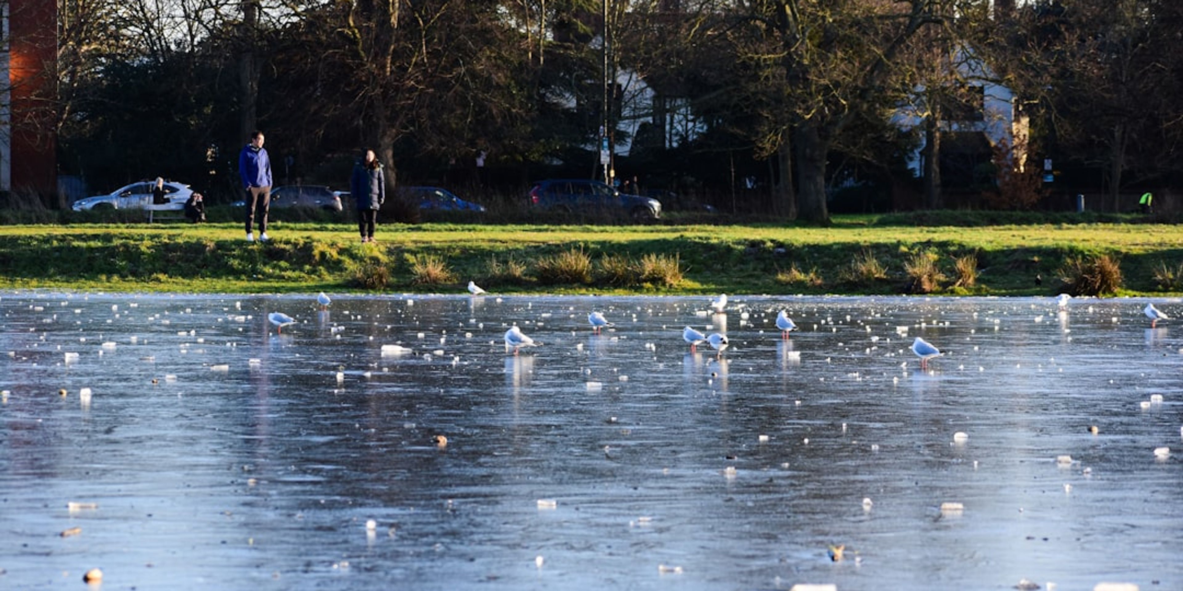 Hotels near Wimbledon Park