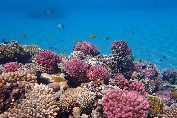 10 Best Things to Do in Hurghada, Egypt: Beaches, Diving & Desert Tours