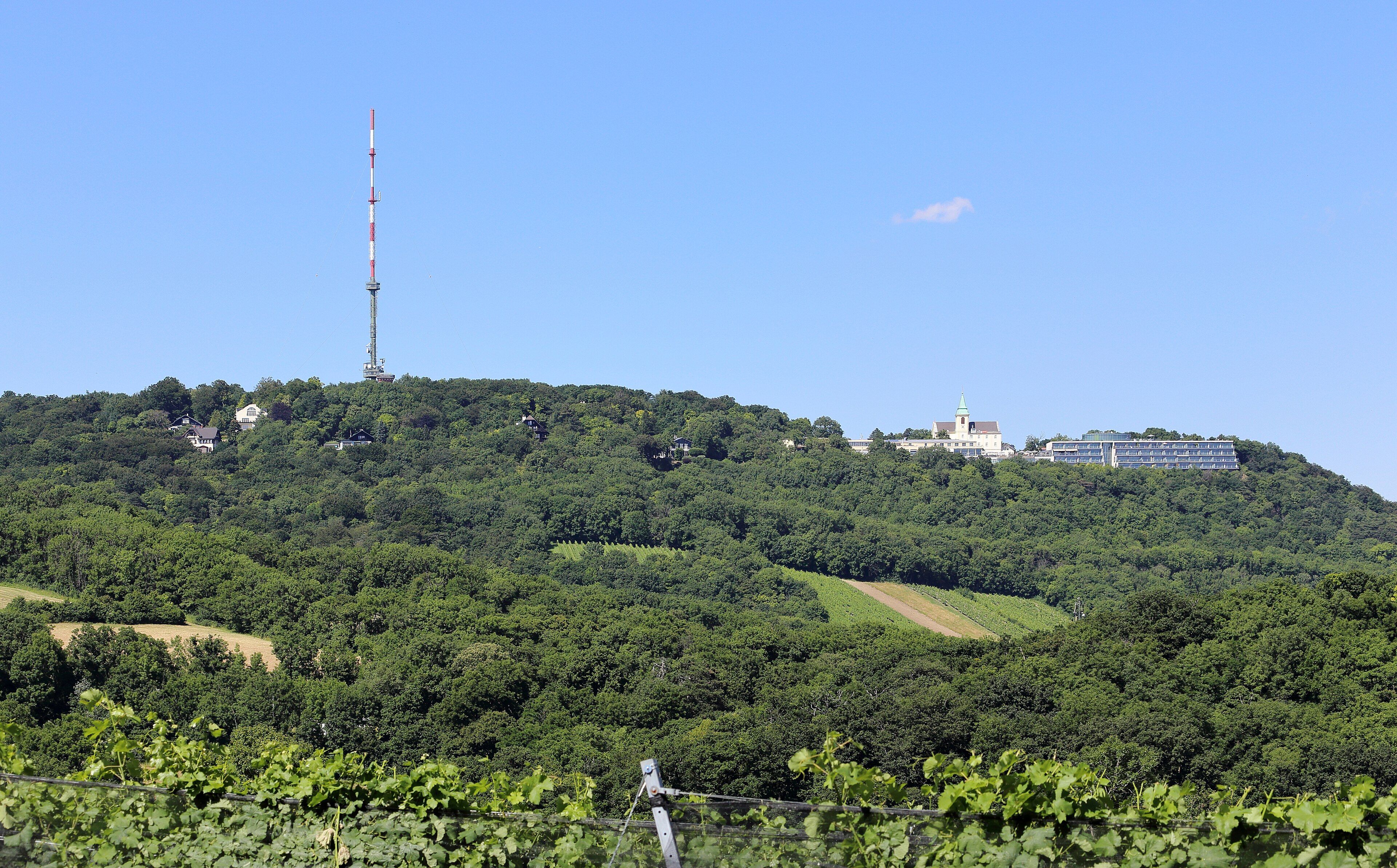Kahlenberg - The Vineyard Walk Down Into the Wine Villages