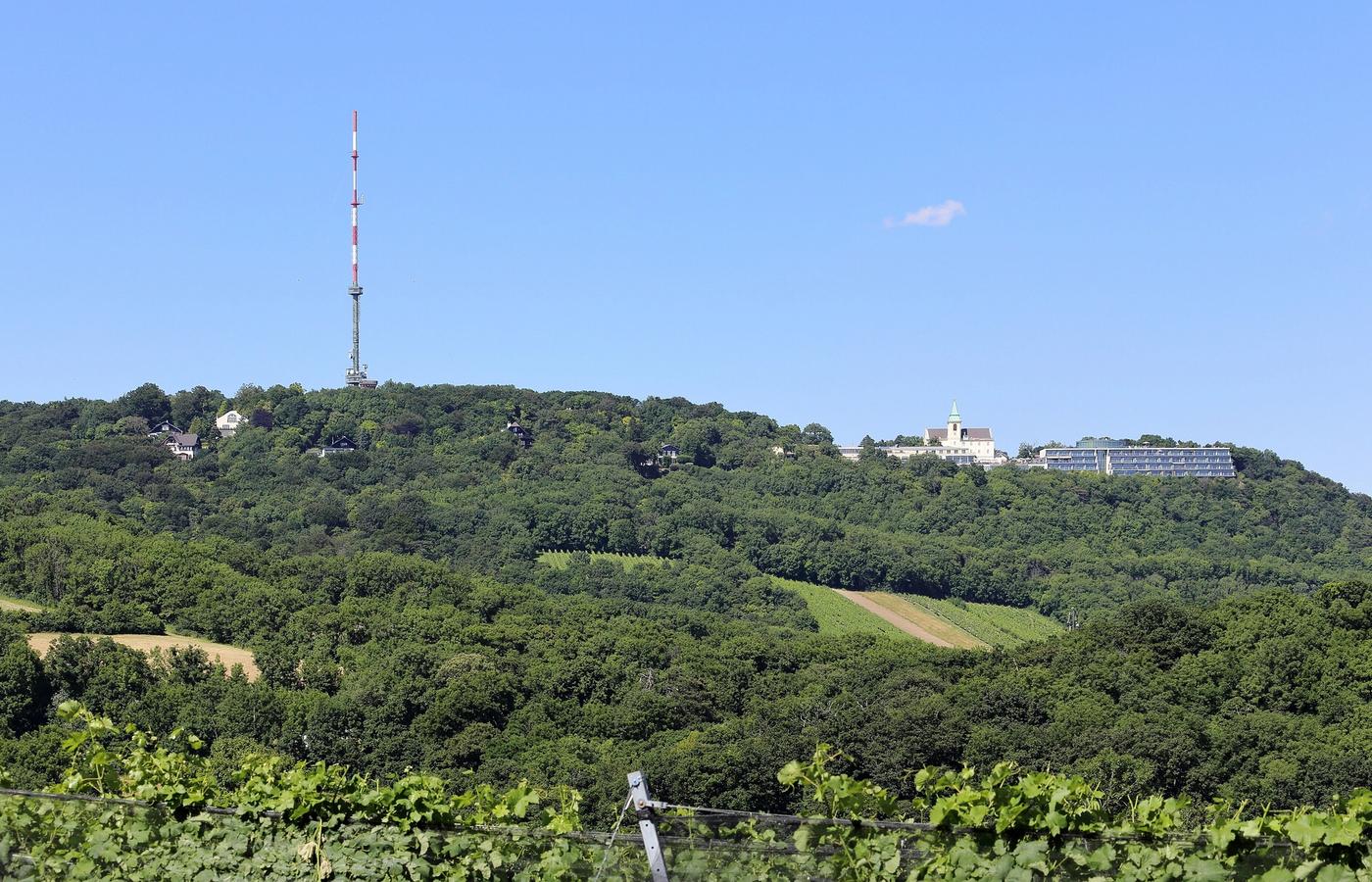 Kahlenberg - The Vineyard Walk Down Into the Wine Villages