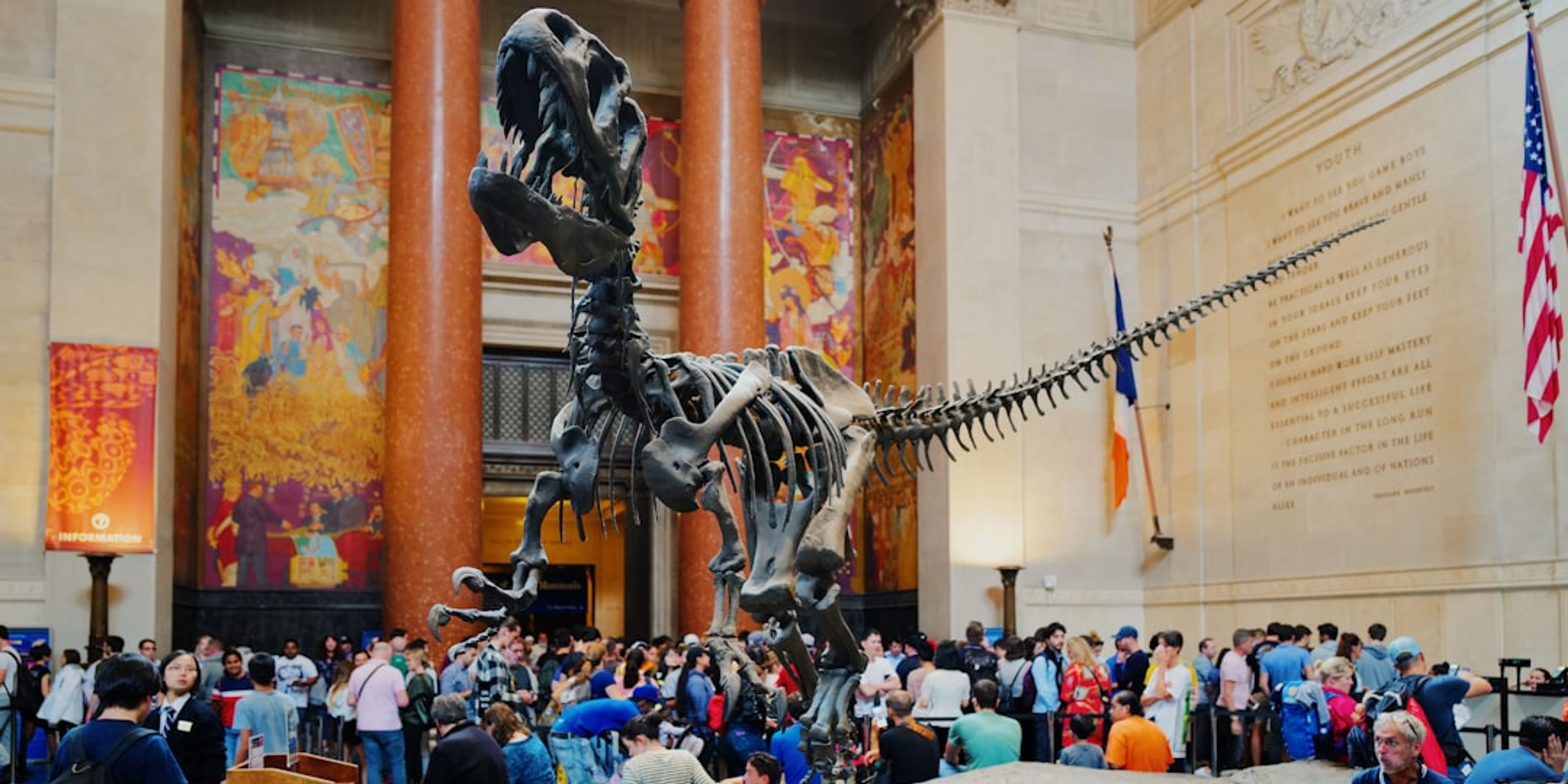 Hotels near American Museum of Natural History