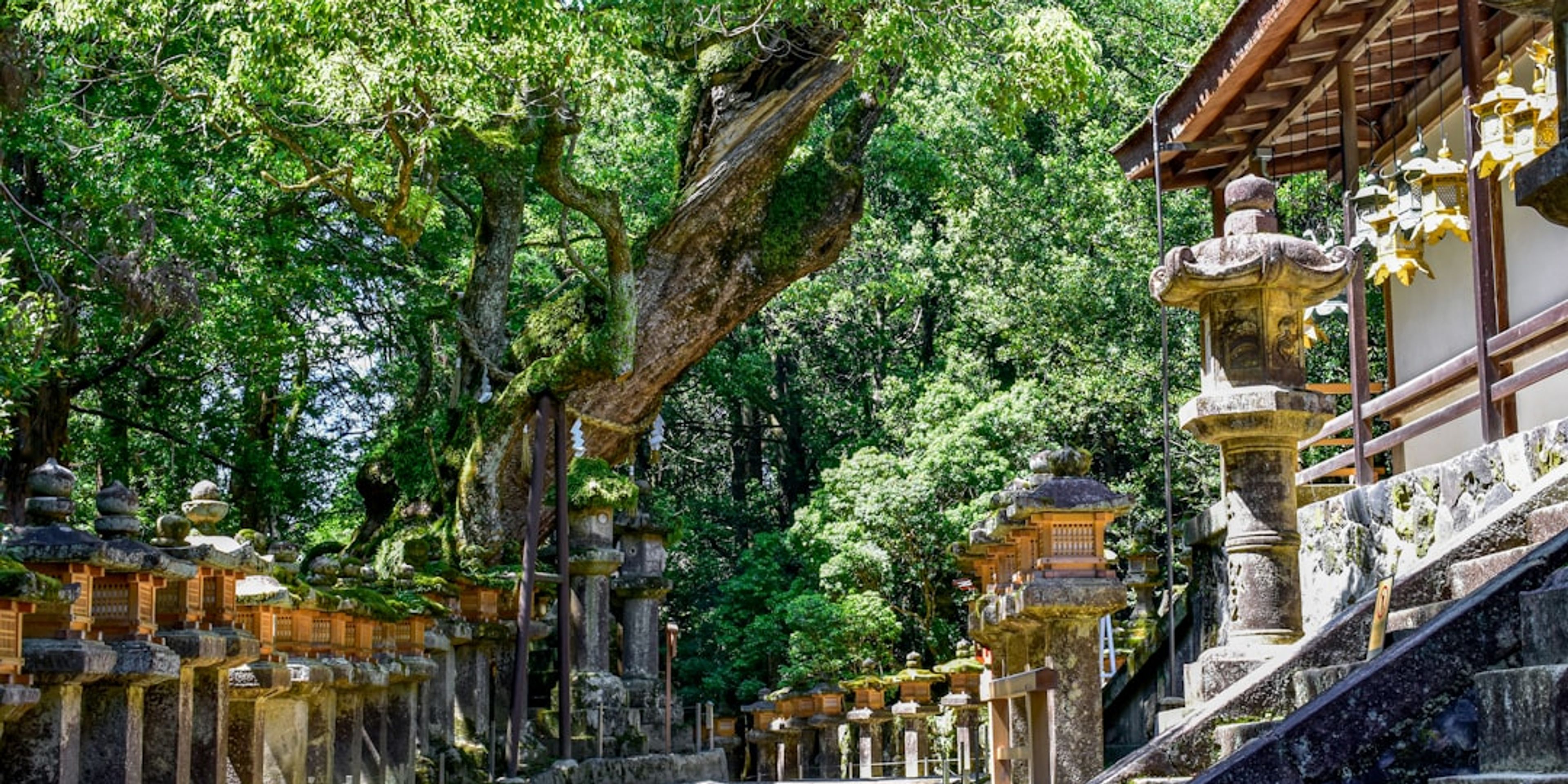 Hotels near Kasuga Taisha and the Kasugayama Primeval Forest