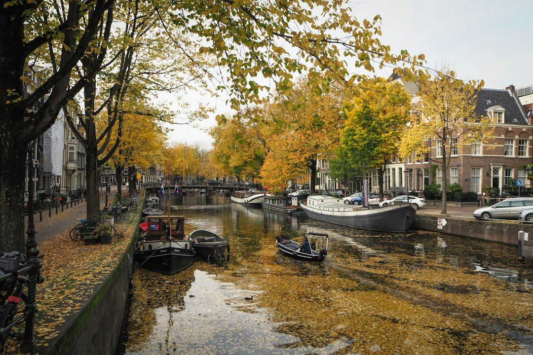 The Canal Ring - Autumn Elms and Glass-Roofed Boats