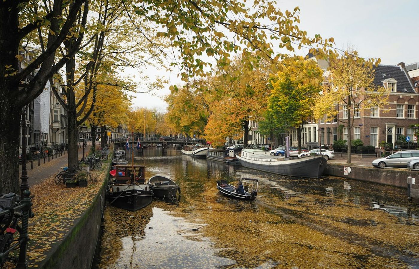 The Canal Ring - Autumn Elms and Glass-Roofed Boats