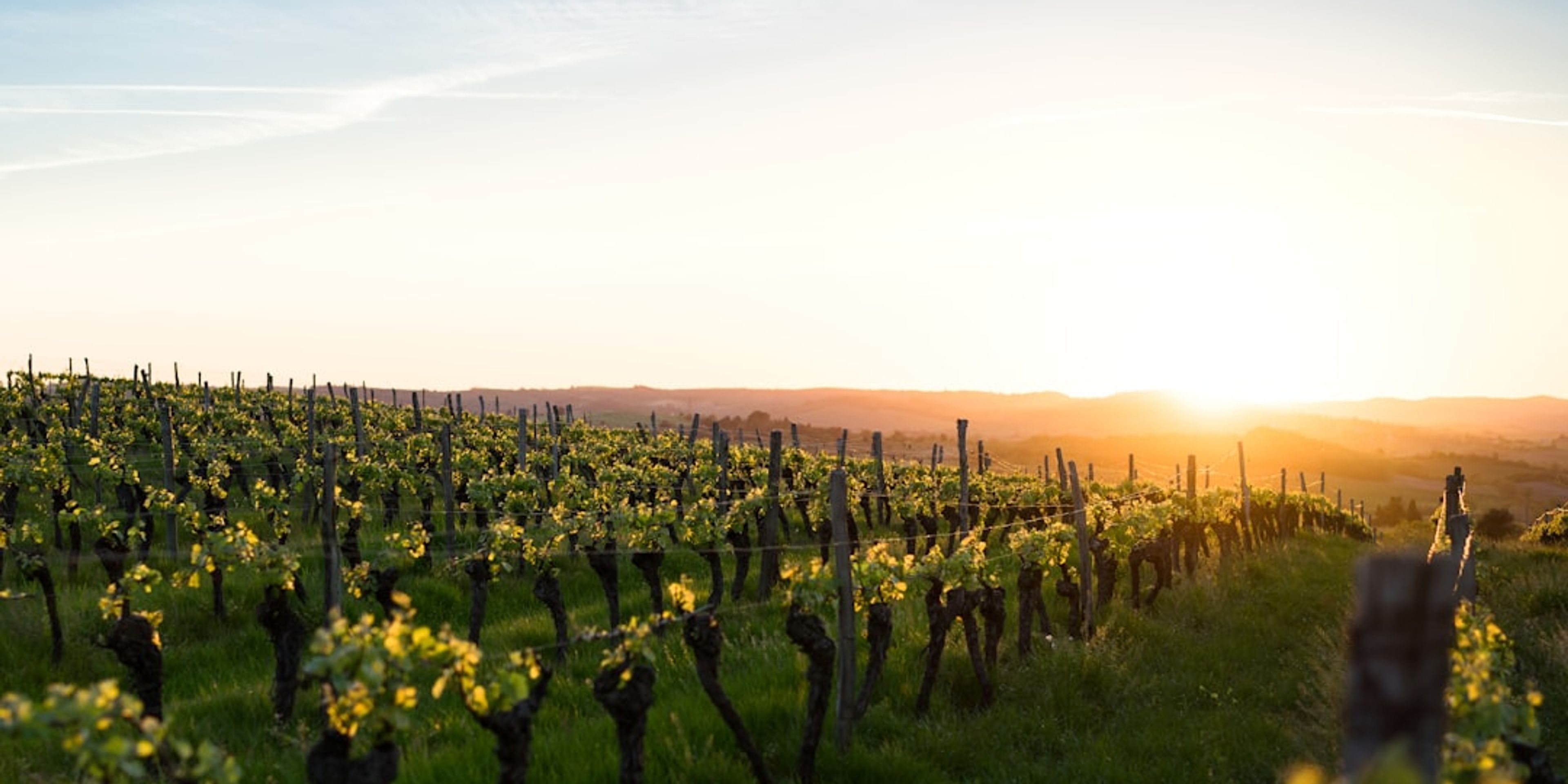 Hotels near The Medoc Route des Chateaux