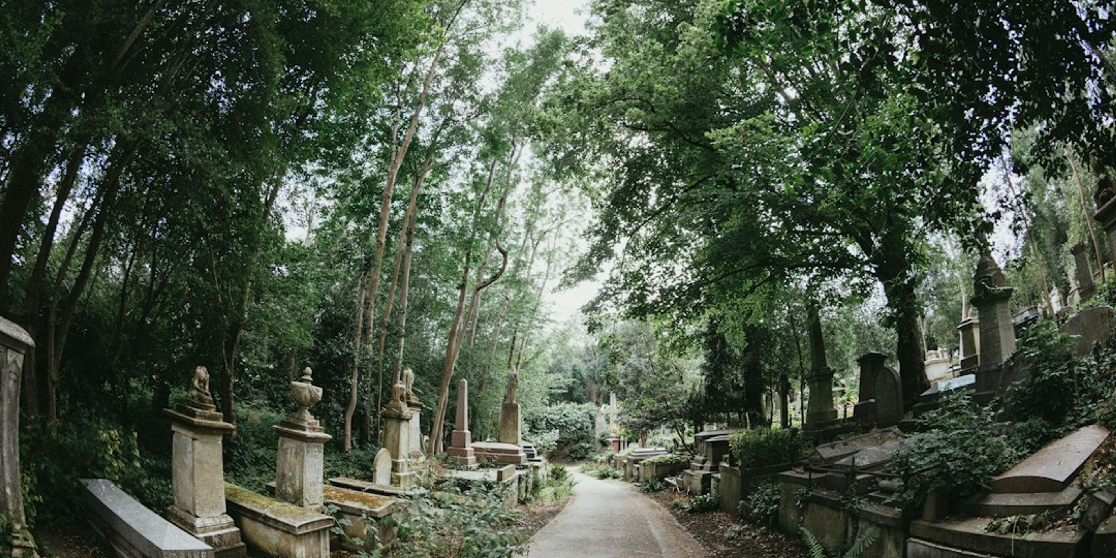 Hotels near Highgate Cemetery