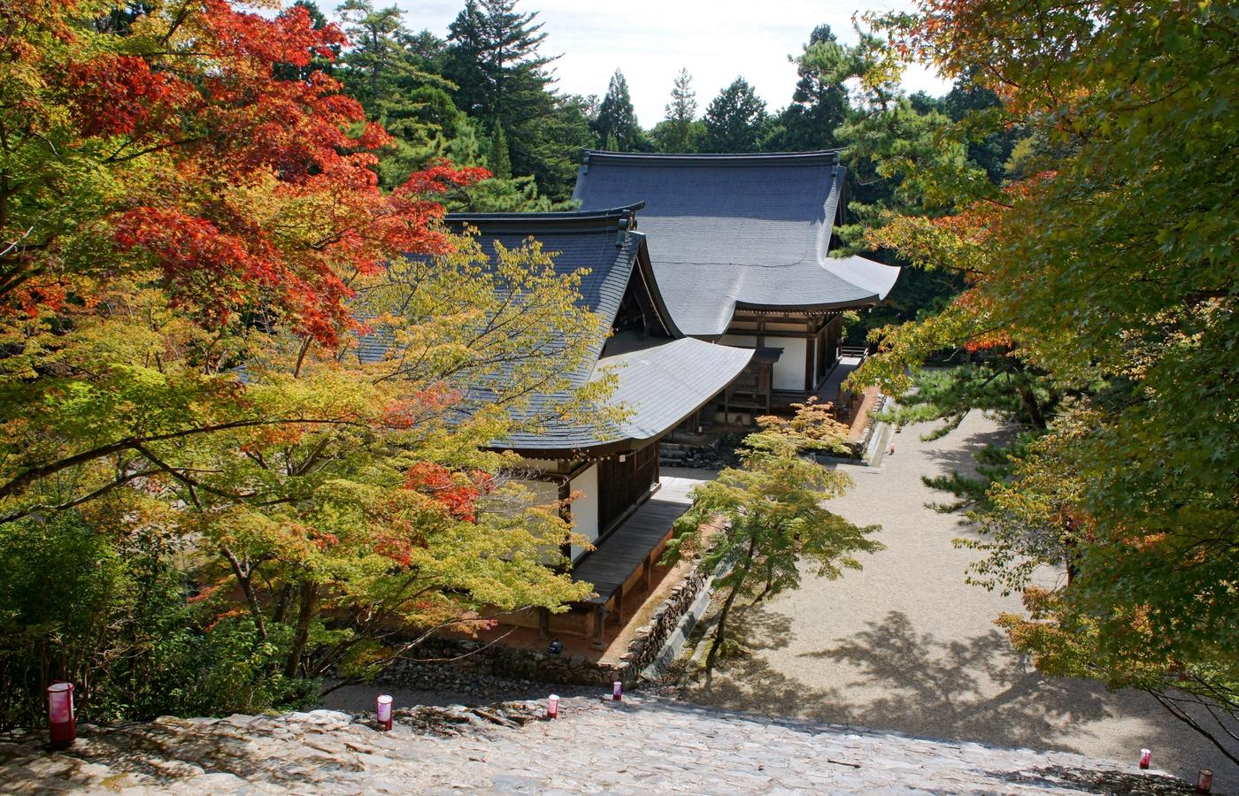 Jingo-ji at Takao - The Earliest Peak and the Hardest Climb