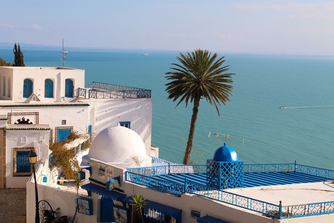 Sidi Bou Said - Day Trip to the Blue and White Village