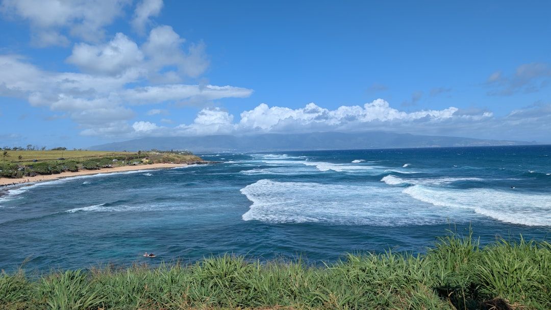 Hookipa Beach Park - Windsurfers and Sea Turtles on the North Shore
