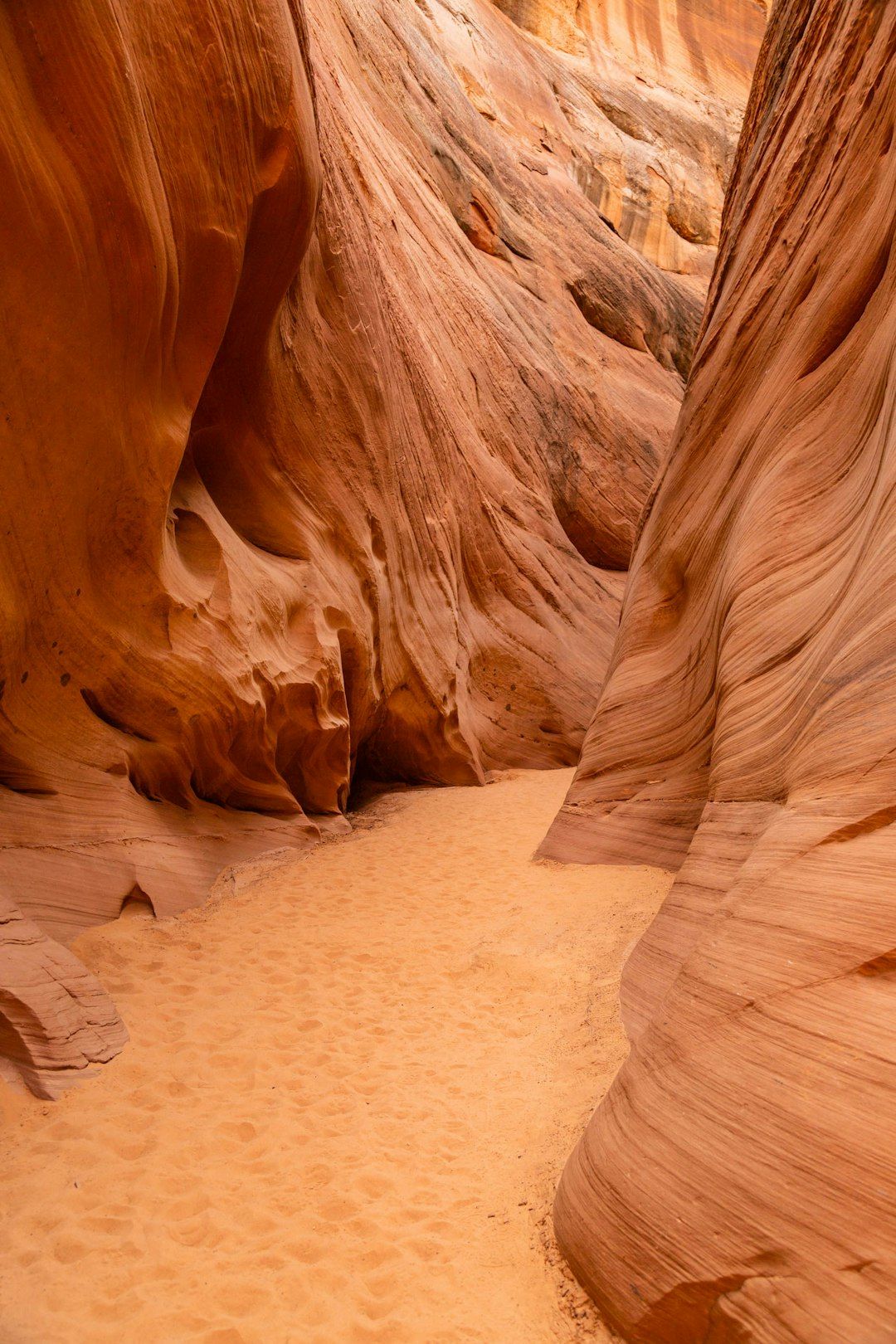 The Siq - The Narrow Canyon Entrance