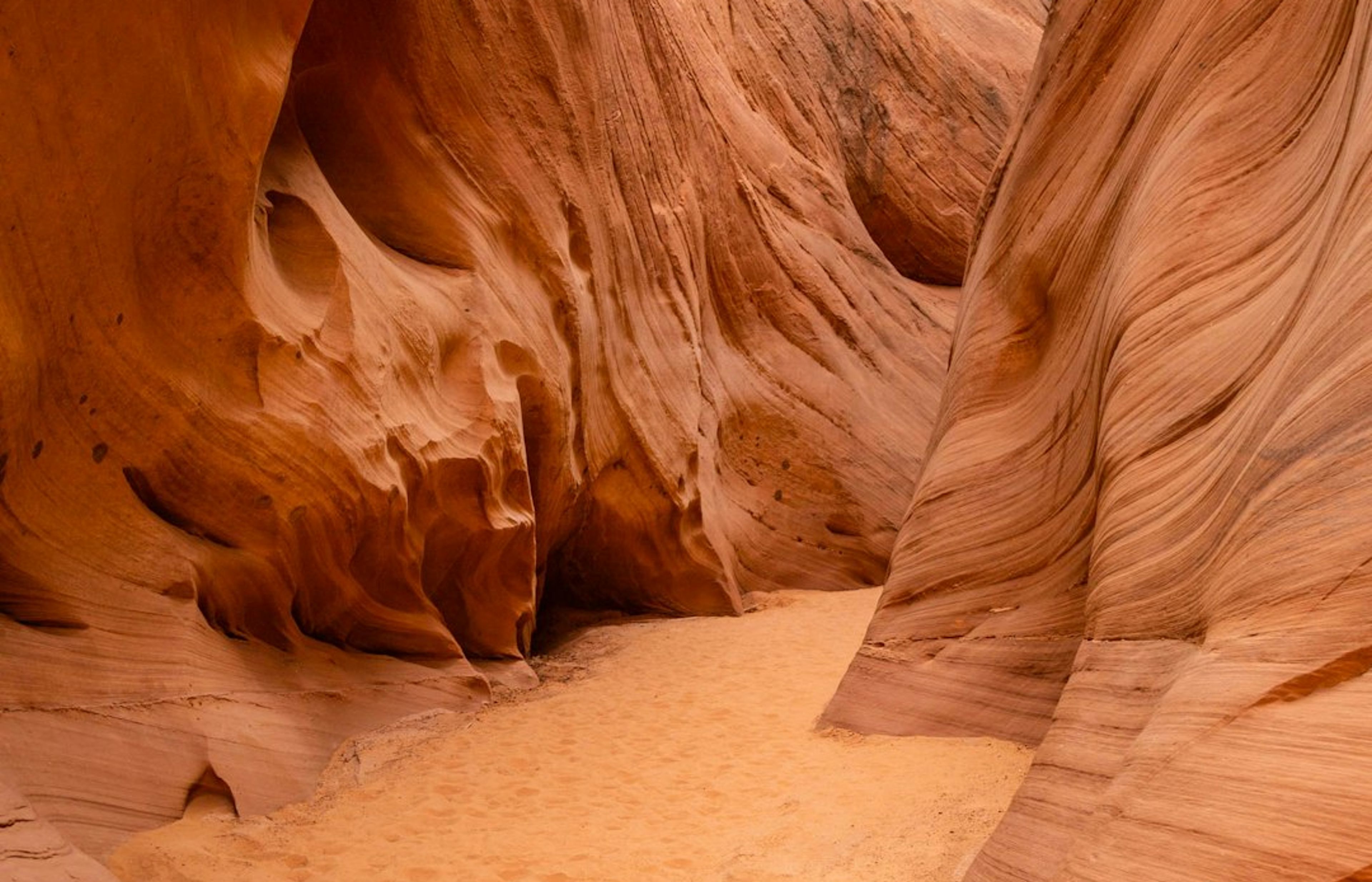 The Siq - The Narrow Canyon Entrance