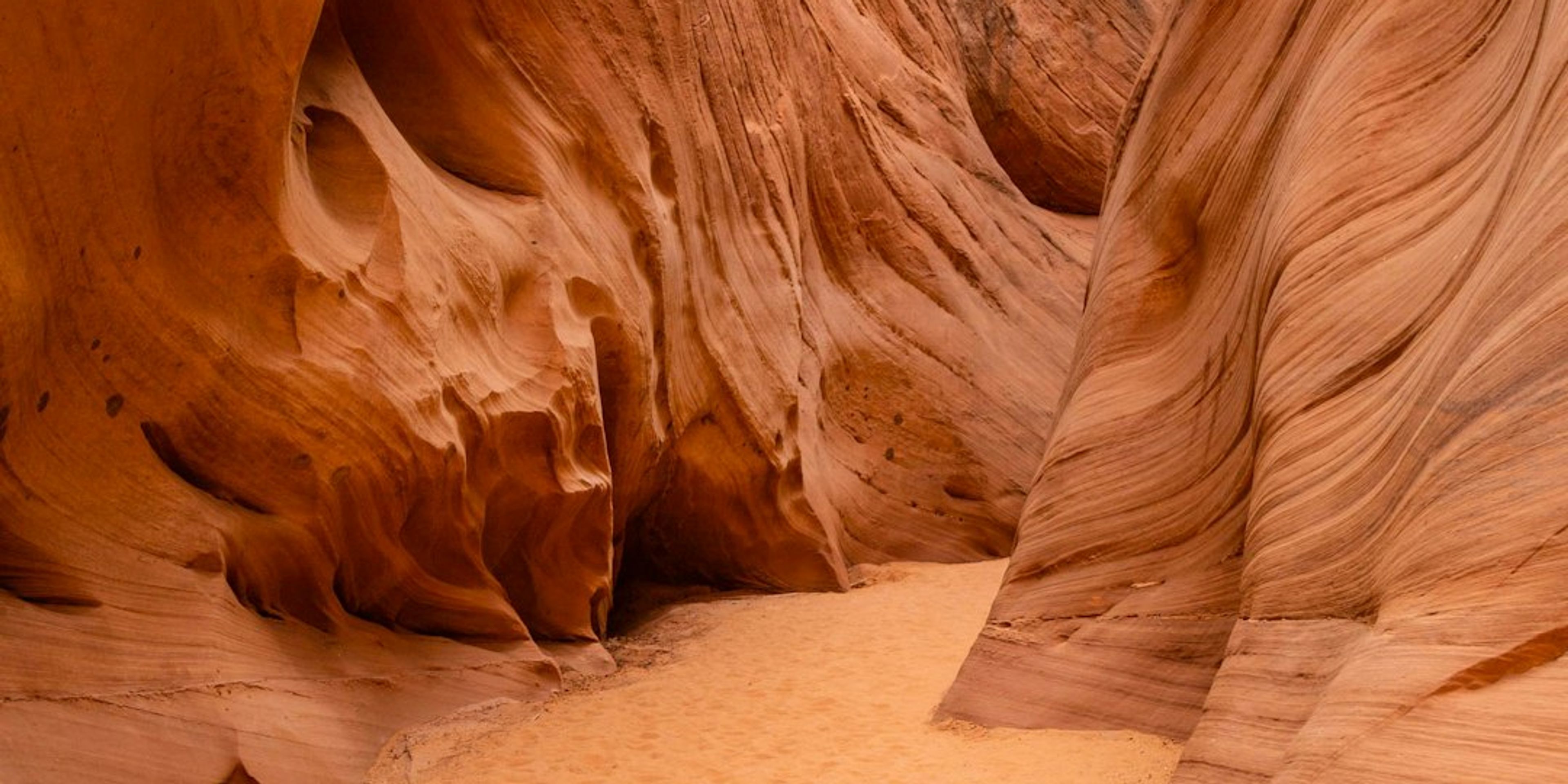 Hotels near The Siq
