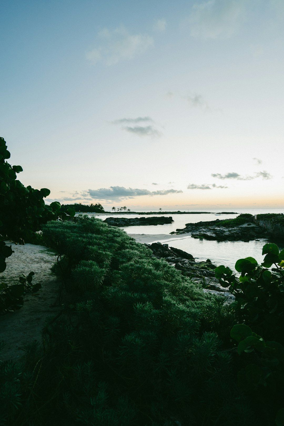 Akumal - Swim With Green Sea Turtles