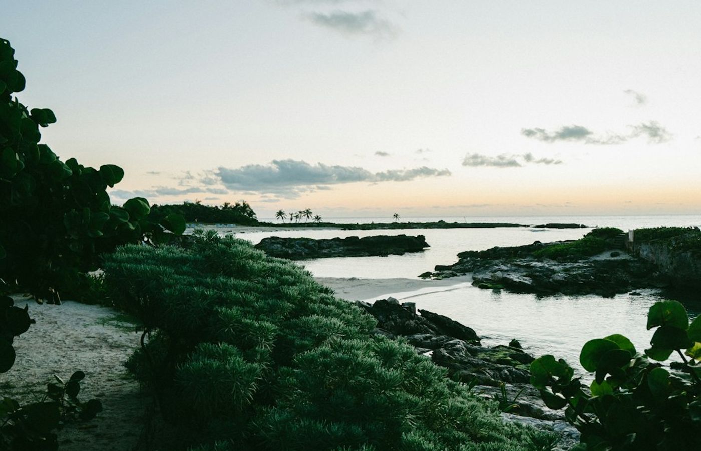 Akumal - Swim With Green Sea Turtles