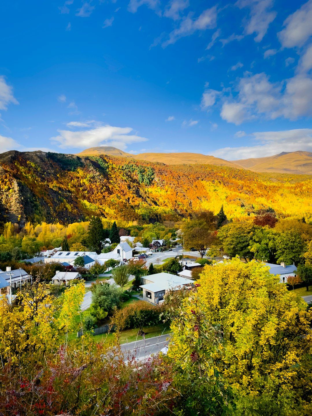 Arrowtown - Gold Rush Heritage Village