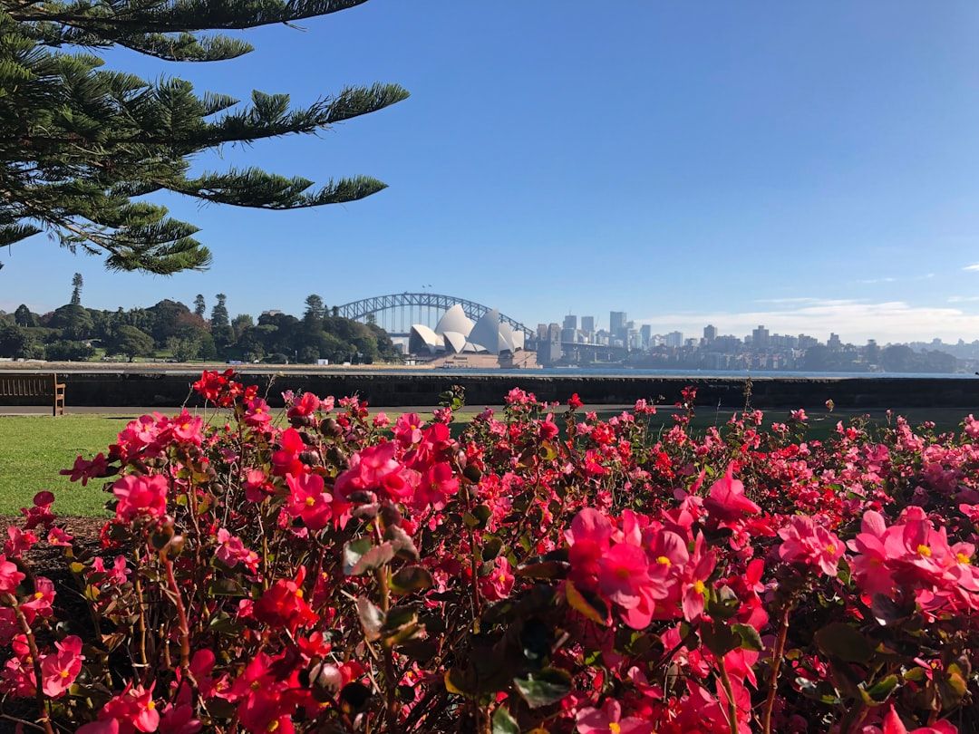 Royal Botanic Garden Sydney - 30 Hectares of Harbour-Front Green Space