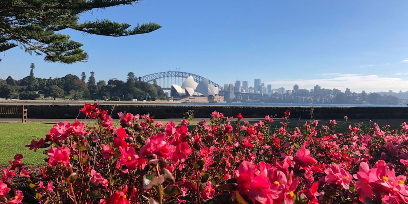 Hotels near Royal Botanic Garden Sydney