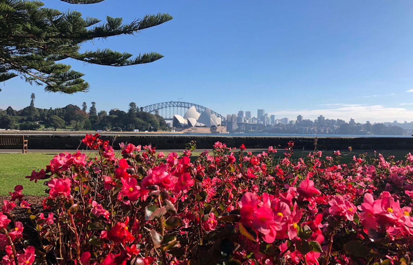 Royal Botanic Garden Sydney - 30 Hectares of Harbour-Front Green Space