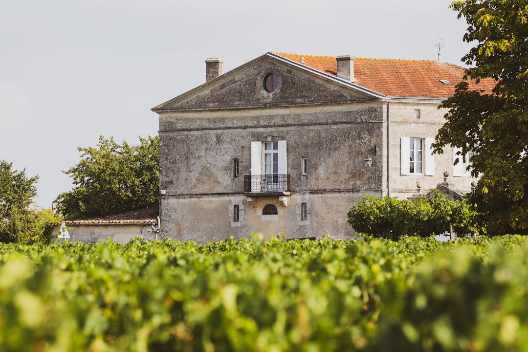 La Cite du Vin - The Orientation Stop You Should Do First