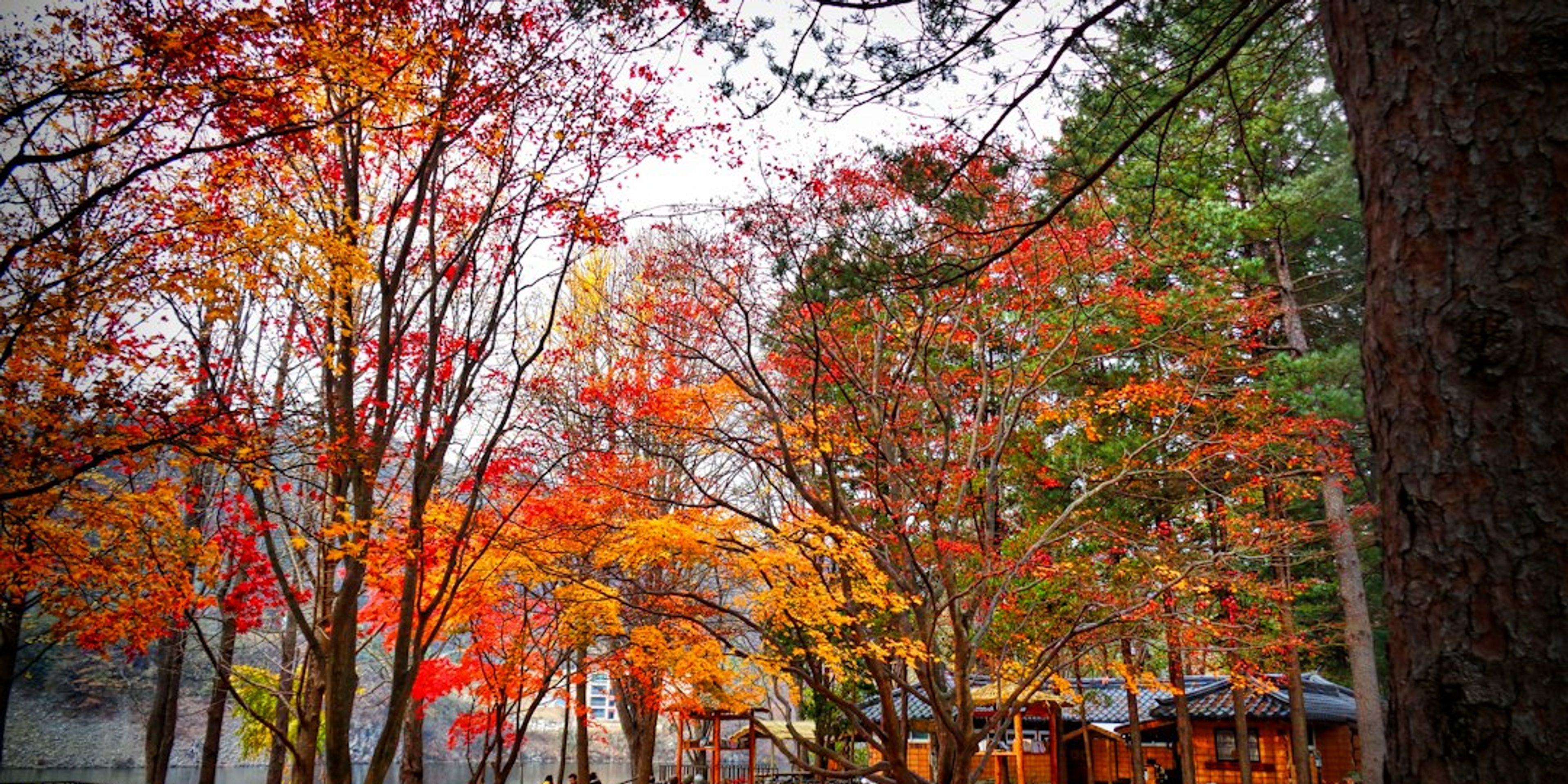Hotels near Nami Island