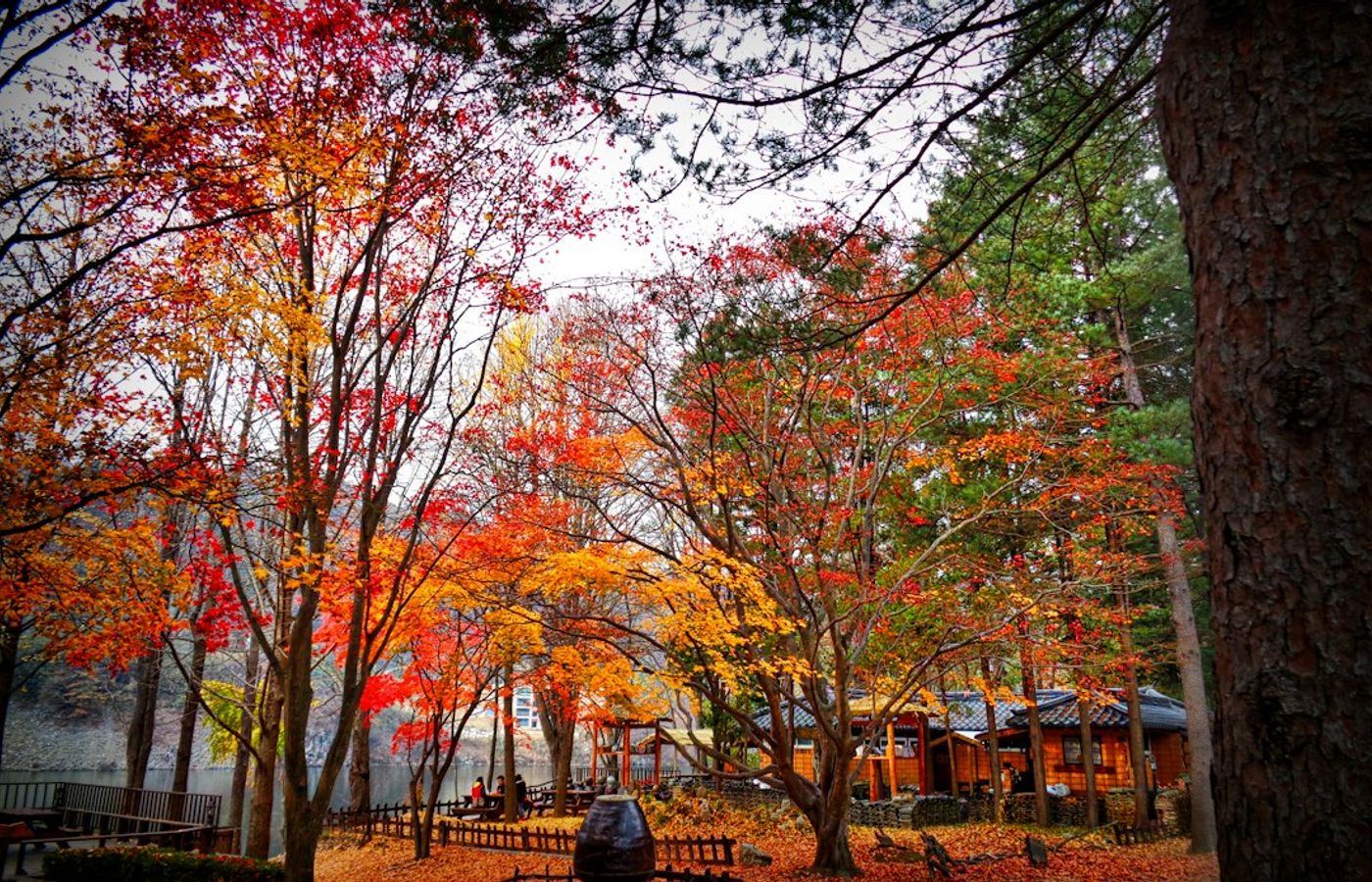 Nami Island - Ginkgo and Metasequoia Avenues on the Bukhan River