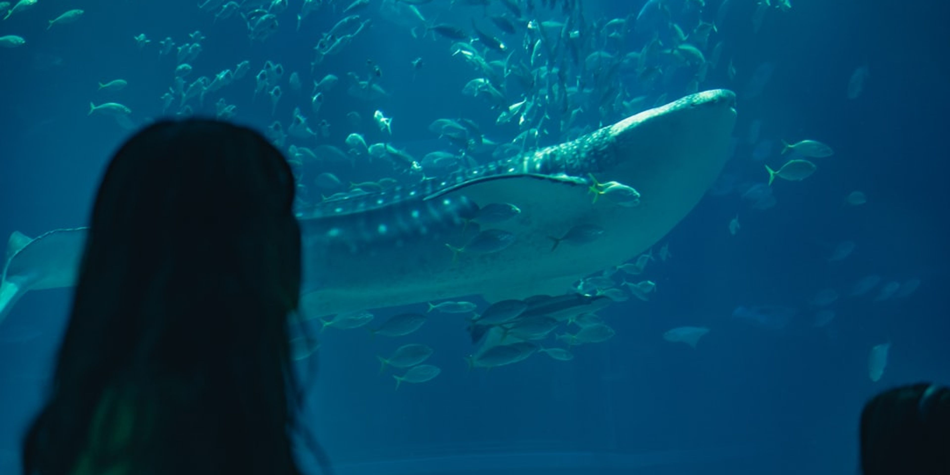 Hotels near Osaka Aquarium Kaiyukan