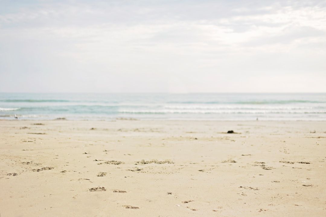 Saadiyat Beach - The Public White-Sand Beach