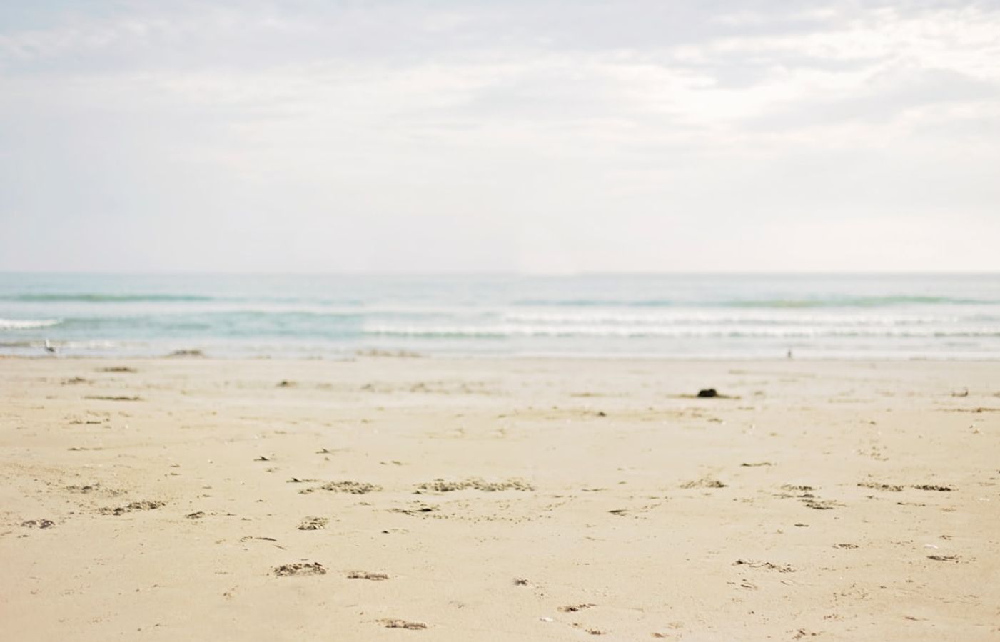Saadiyat Beach - The Public White-Sand Beach