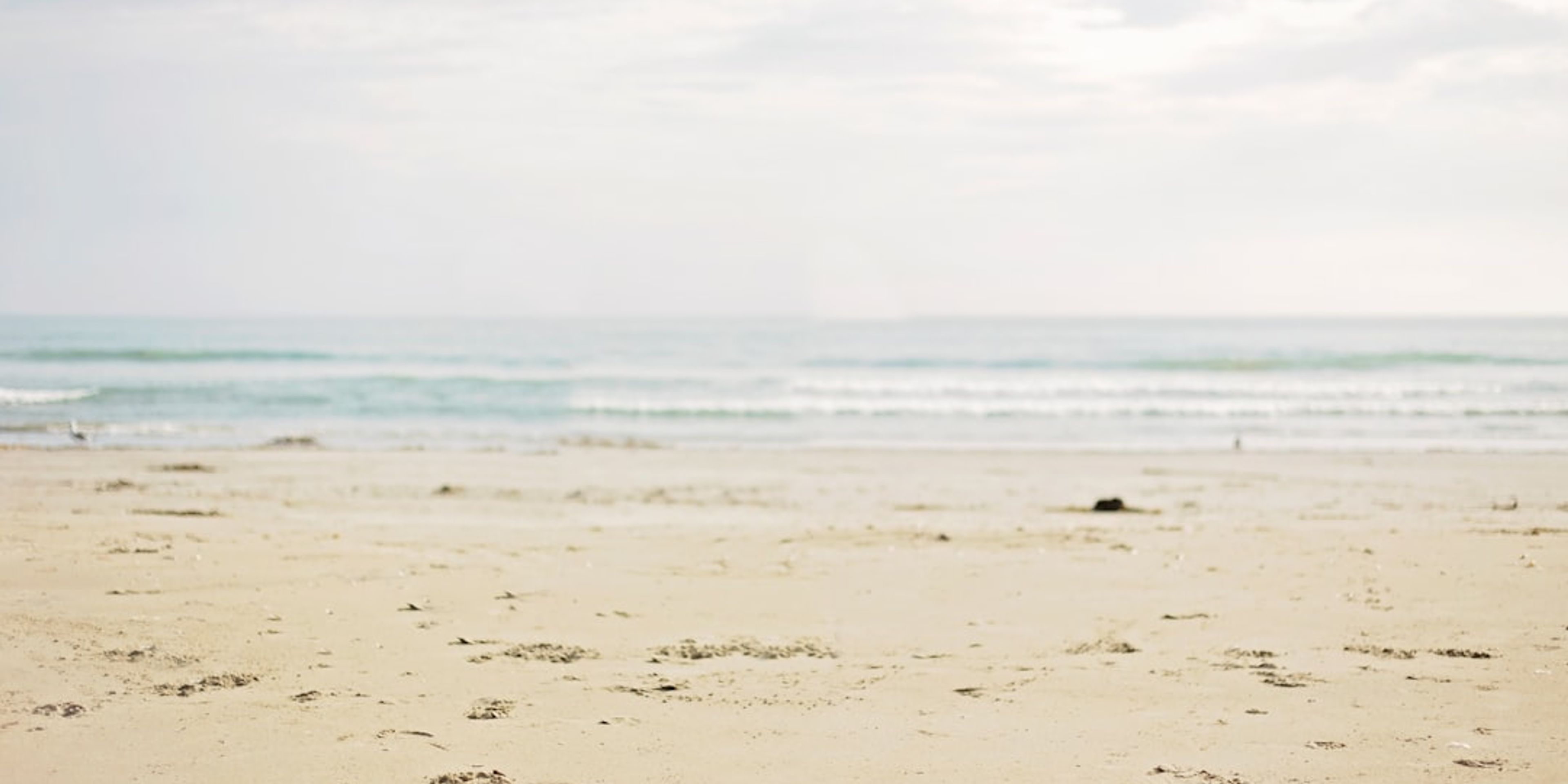 Hotels near Saadiyat Beach
