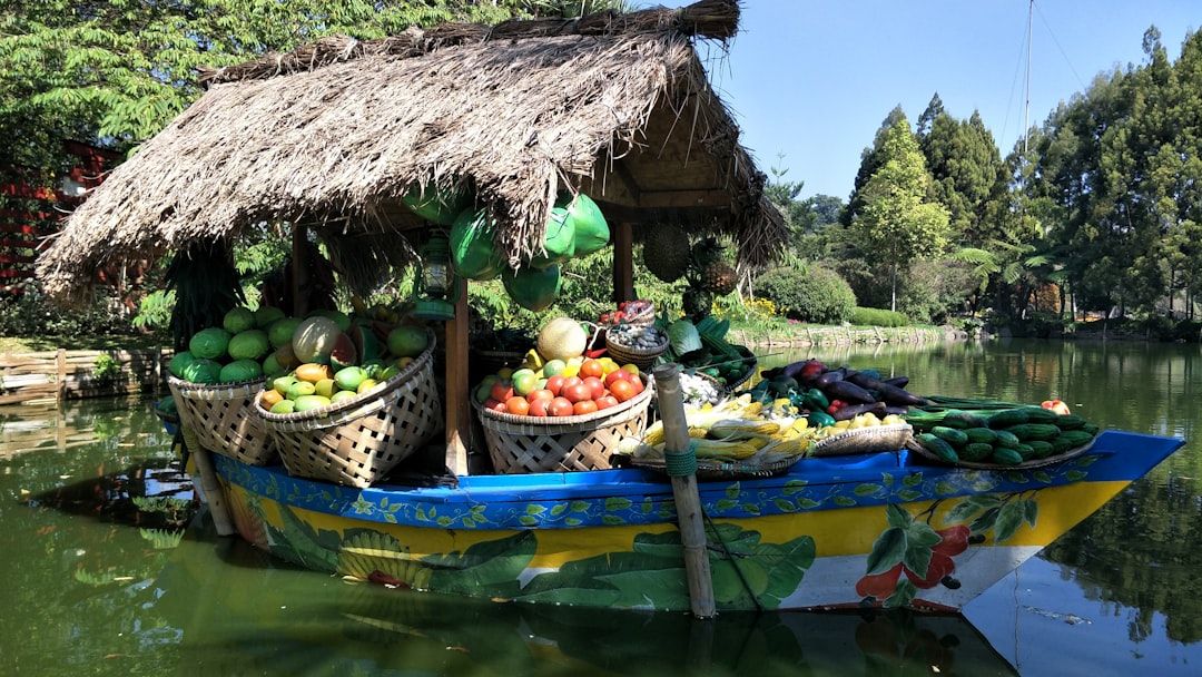 Tra Que Vegetable Village - Farm Walks and Herb Gardens