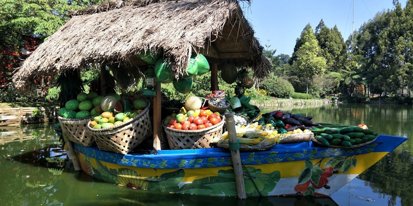 Hotels near Tra Que Vegetable Village
