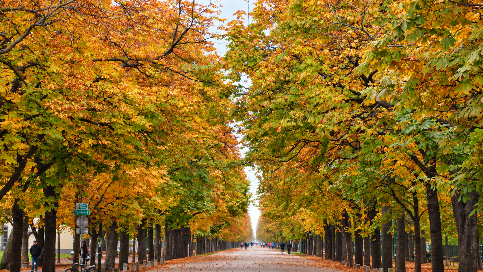The Prater Hauptallee - 4.5 Kilometres of Chestnut Avenue
