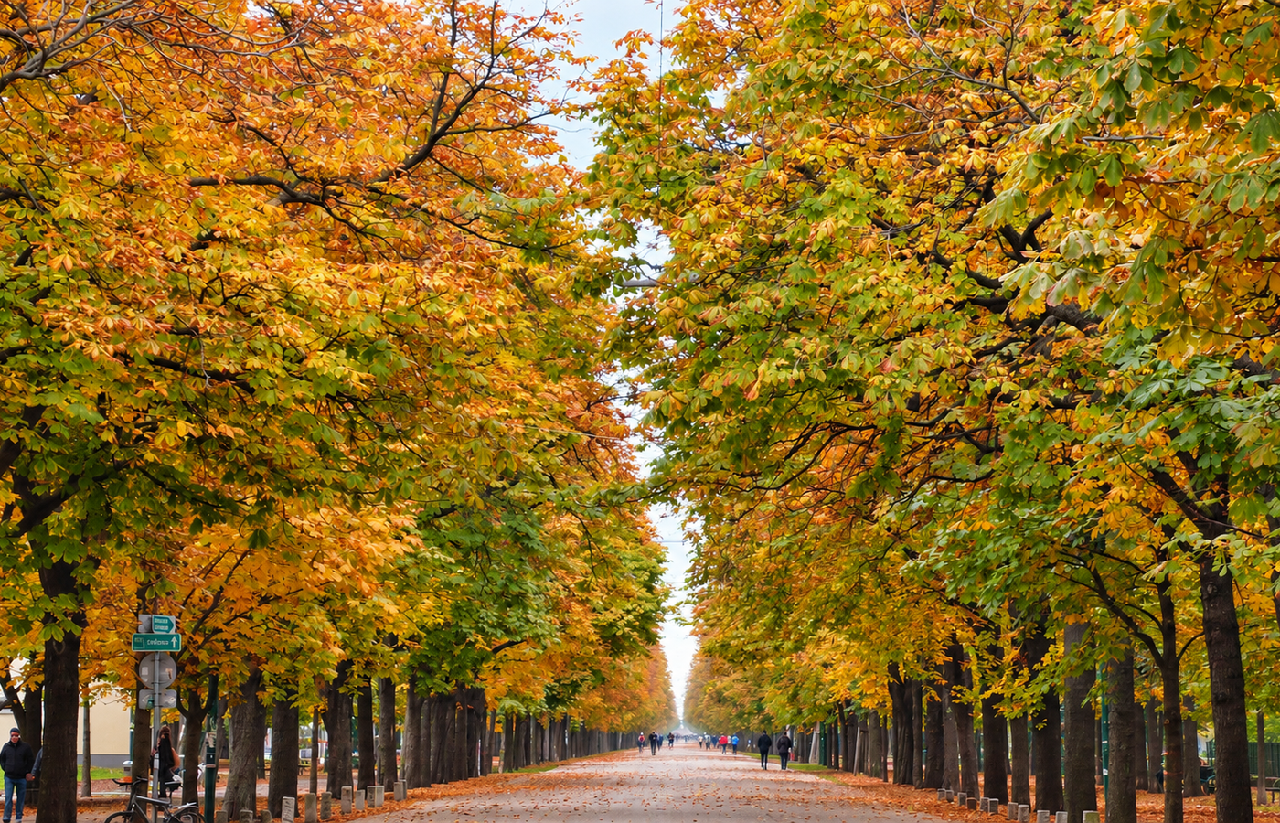 The Prater Hauptallee - 4.5 Kilometres of Chestnut Avenue