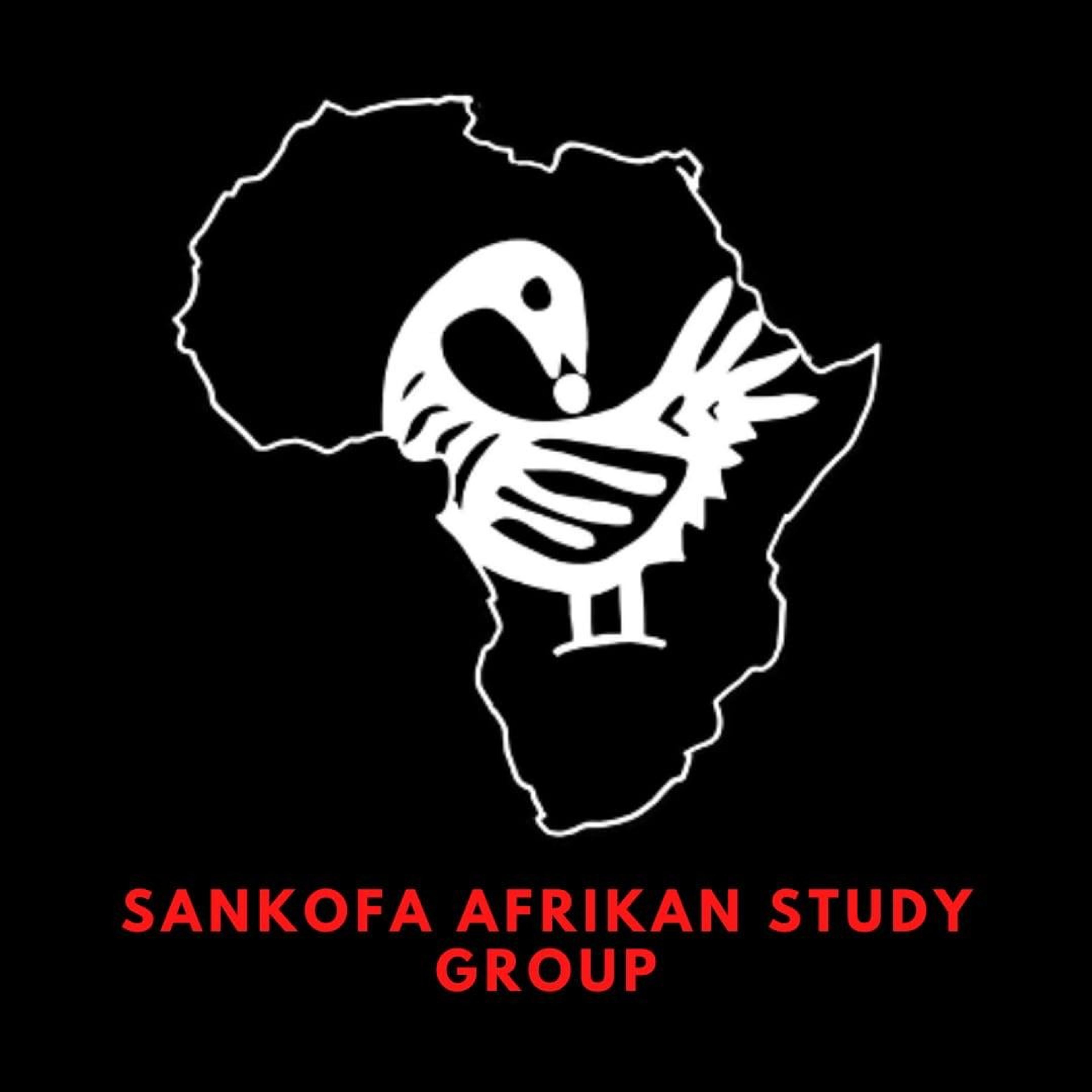 Meet Sankofa Afrika- a study group empowering community through education