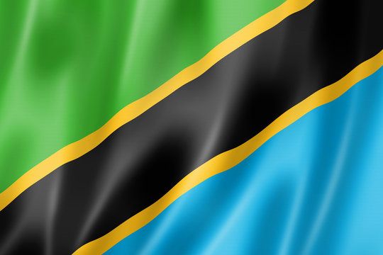 RACIAL JUSTICE NETWORK STATEMENT OF SOLIDARITY WITH TANZANIA AND CAMEROON’S DEMOCRATIC UPRISINGS