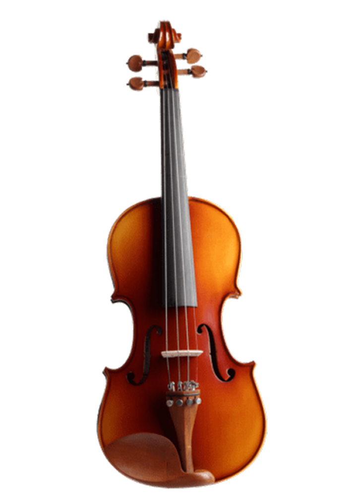 Viola
