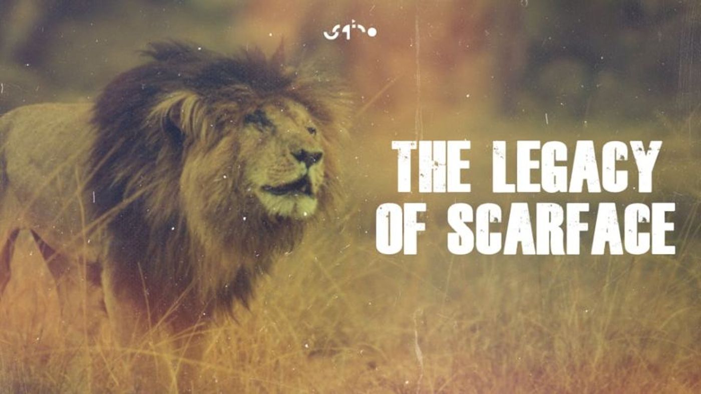 The Legacy of Scarface