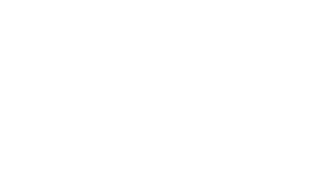 World Government Summit