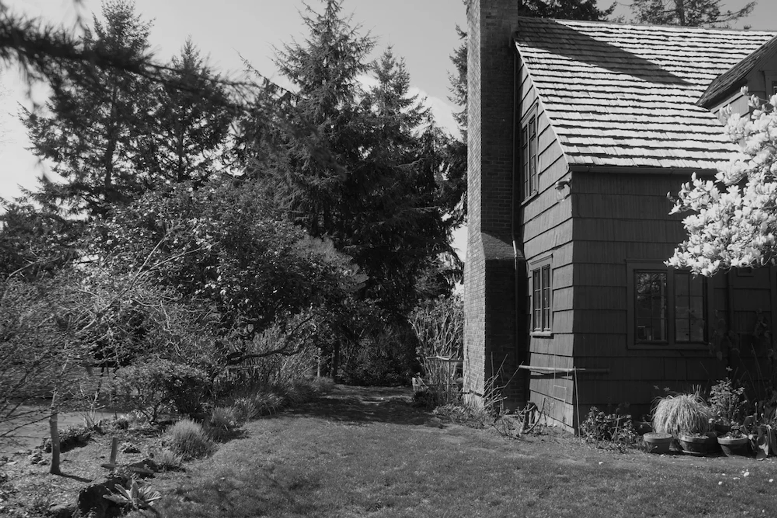 An exterior shot of The Loyal Captain in Seattle, WA