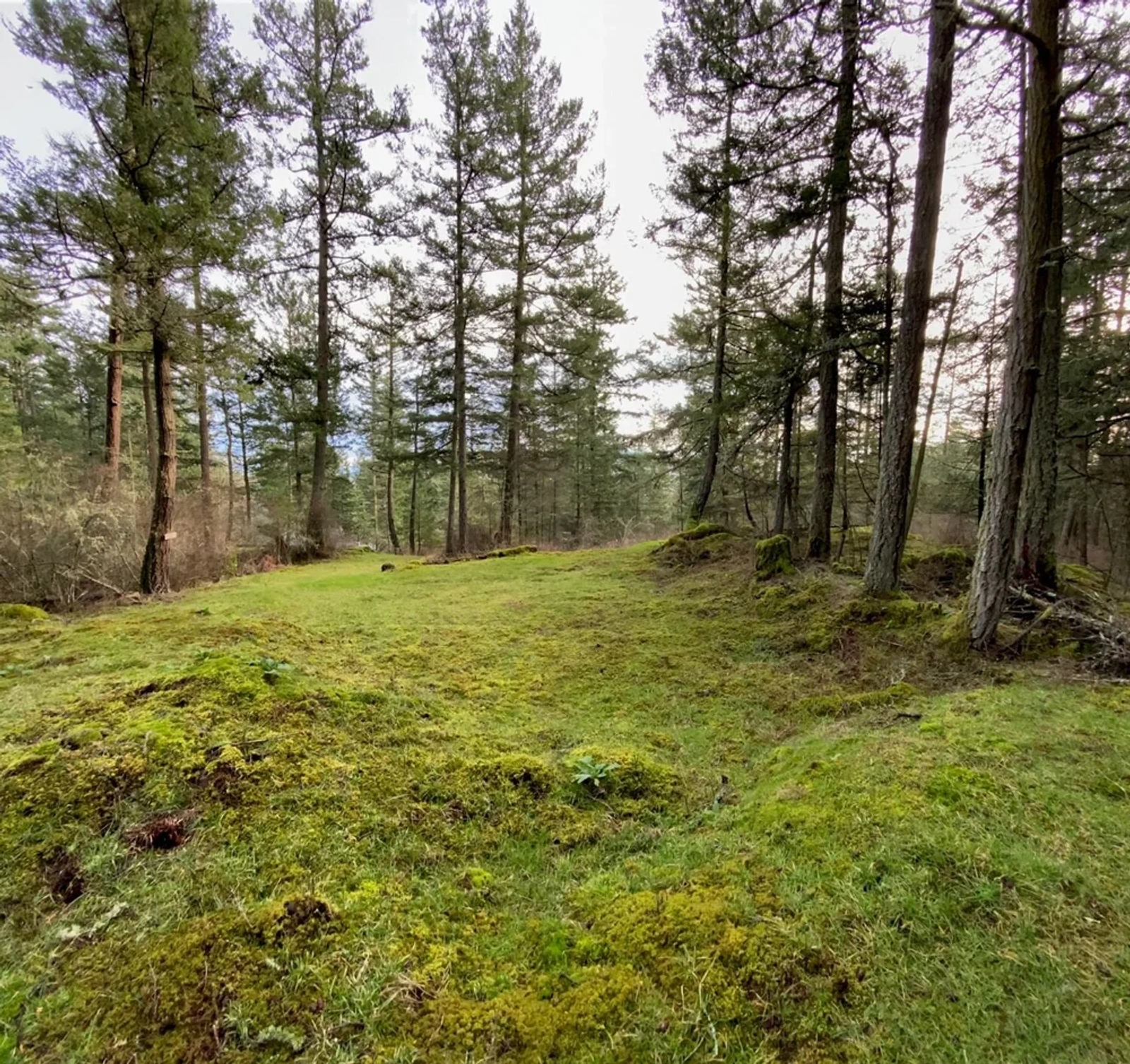 The landscape around Orcas Island, WA