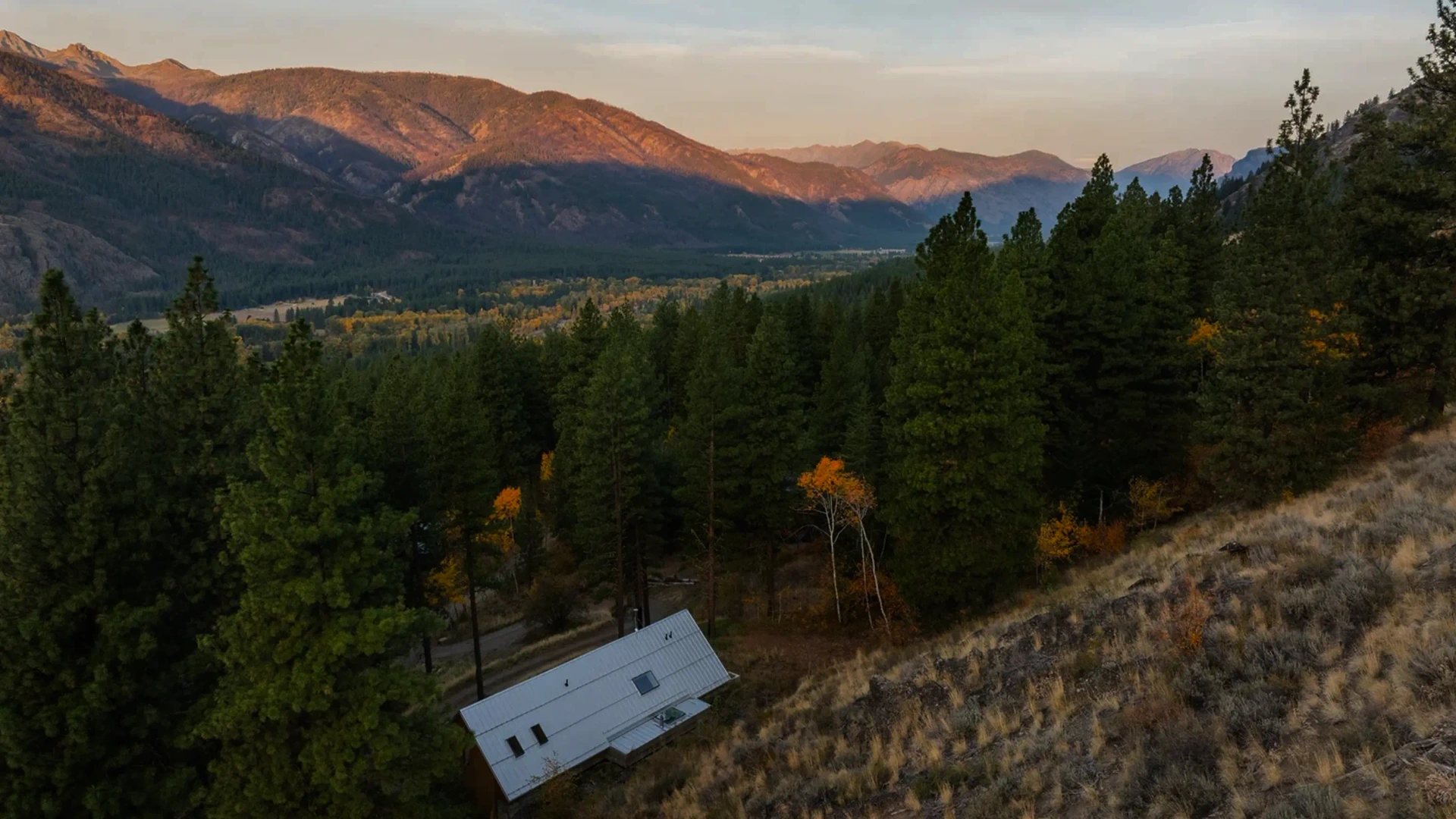 NEWFITCH CABIN
