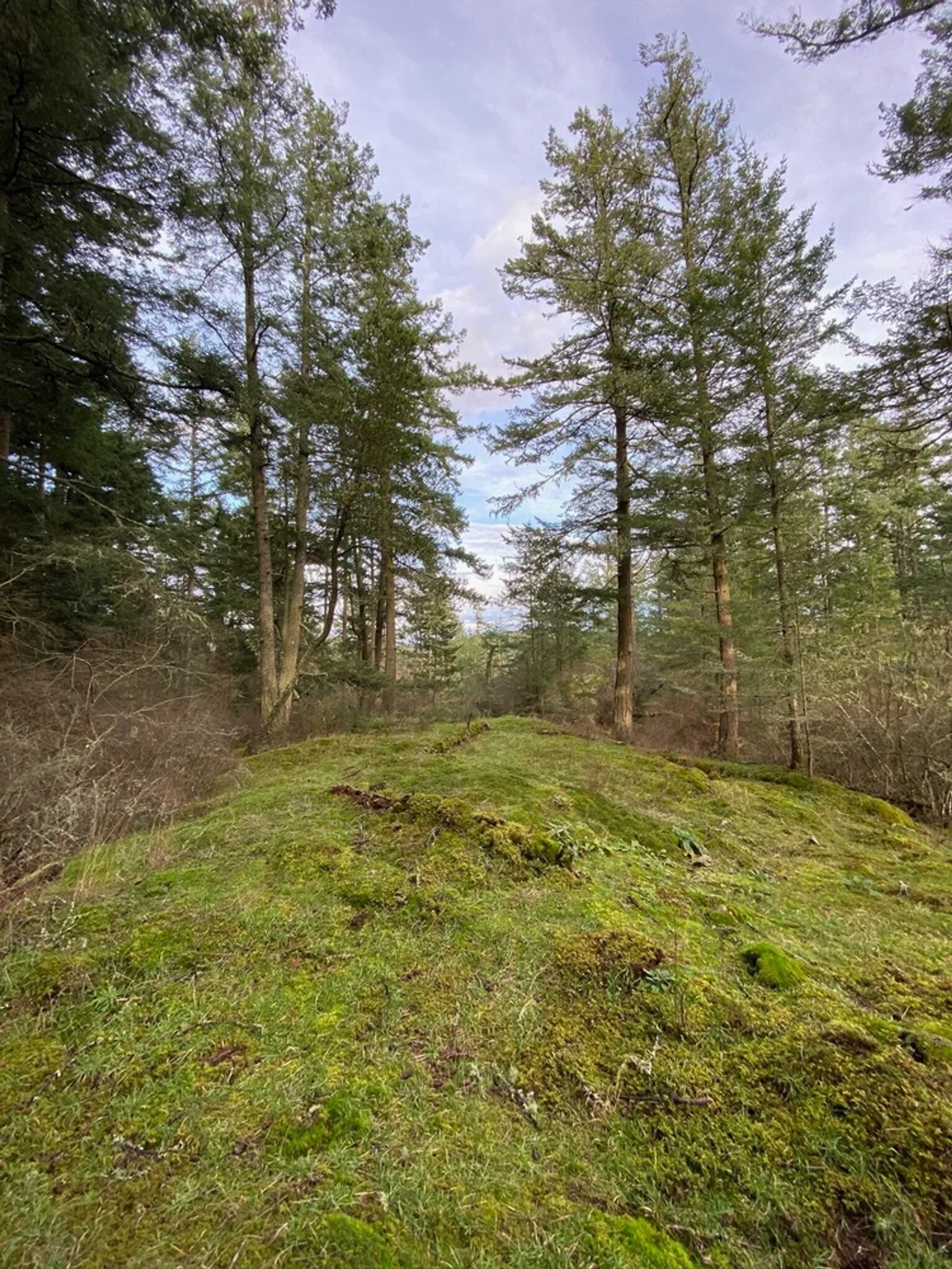 The landscape around Orcas Island, WA
