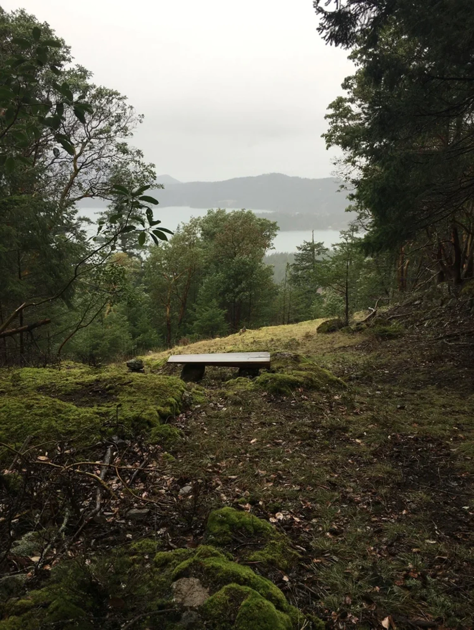 An exterior shot of the landscape in Orcas Island
