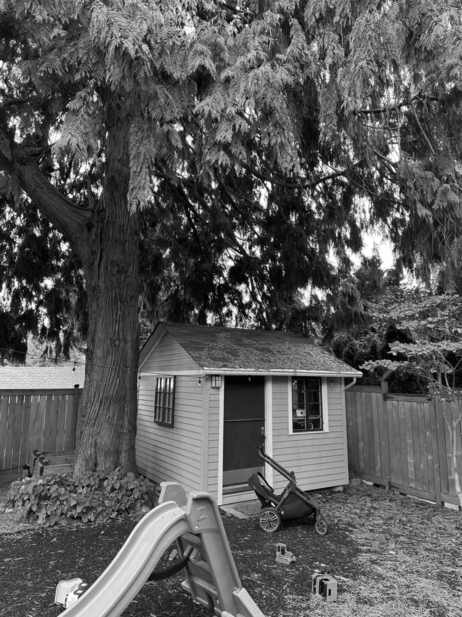 A image of the construction of he shed_she shed in Seatlle, WA